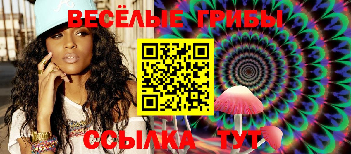 Галлюциногенные грибы Psilocybe Нижневартовск