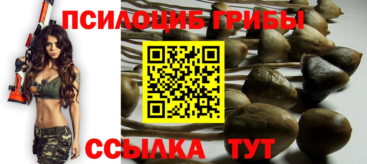 Нижневартовск  Галлюциногенные грибы Psilocybine cubensis  Вход с VPN  Псилоцибиновые грибы мицелий 